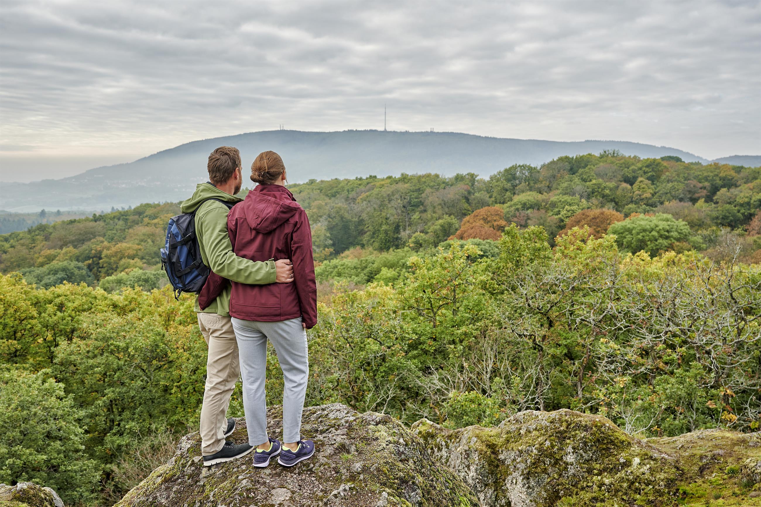 Drosselfels | Donnersberg-Touristik-Verband E.V.