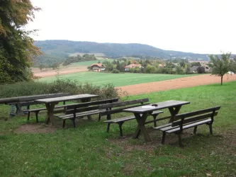 Blick Zum Donnersberg | Donnersberg-Touristik-Verband E.V.