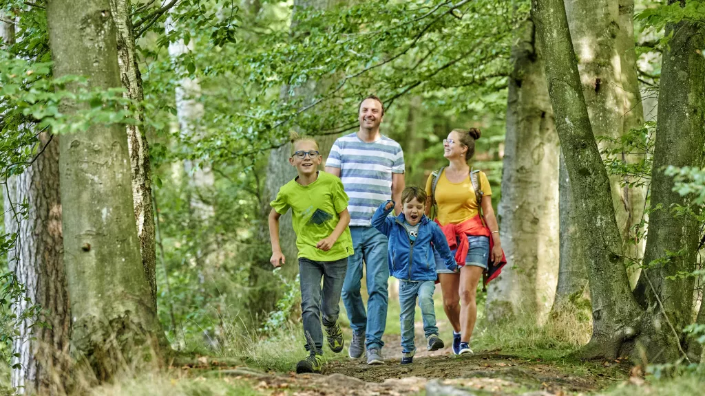 Familienfreundliche Wanderwege | Donnersberg-Touristik-Verband E.V.